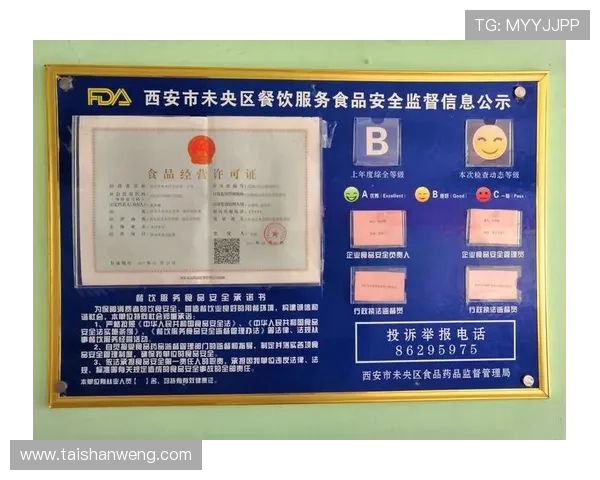 问鼎网址官方地址安全验证流程，保障用户信息安全的详细操作指南